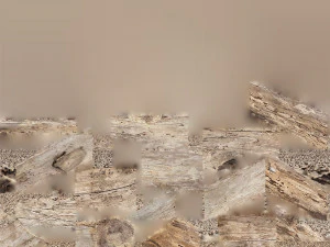 A length of wood 3d scan in highpoly 3D Model