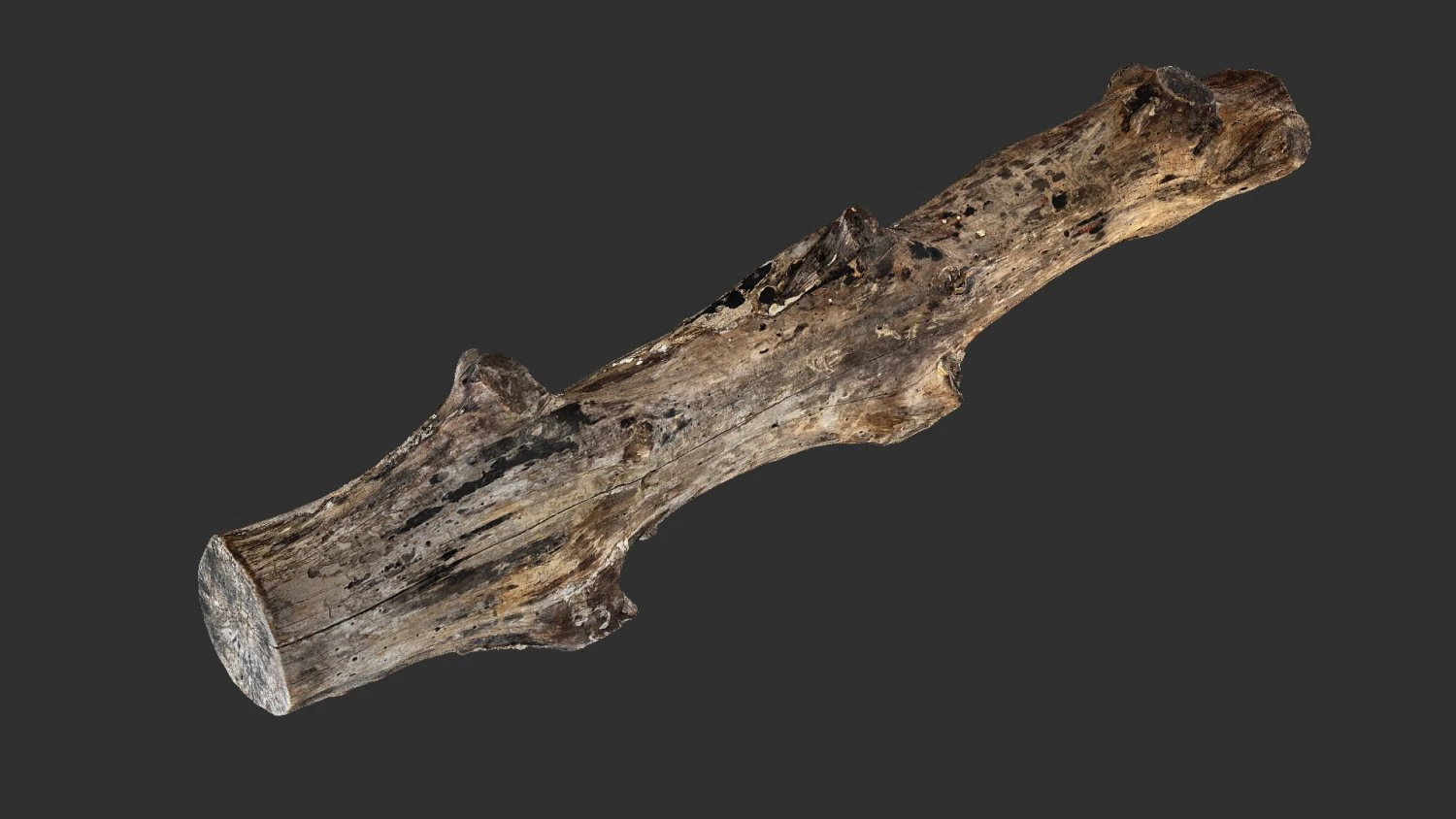 3d scan withered tree trunk in highpoly 3D Model .c4d .max .obj .3ds .fbx .stl .blend