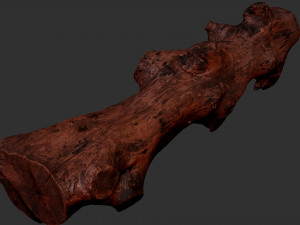 3d scan withered tree trunk in highpoly Modèle 3D
