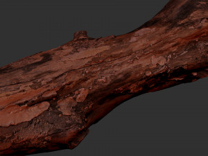 3d scan withered tree trunk in highpoly Modèle 3D