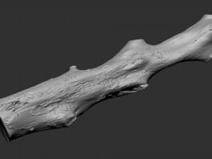 3d scan withered tree trunk in highpoly Modèle 3D