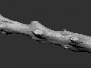 3d scan withered tree trunk in highpoly Modèle 3D