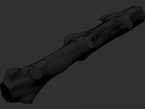 3d scan withered tree trunk in highpoly Modèle 3D