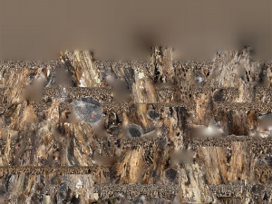 3d scan withered tree trunk in highpoly Modèle 3D