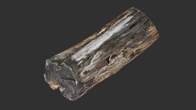 A withered piece of wood 3d scan in highpoly Modelo 3D .c4d .max .obj .3ds .fbx .stl .blend 