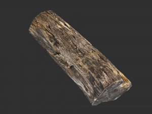 A withered piece of wood 3d scan in highpoly Modelo 3D
