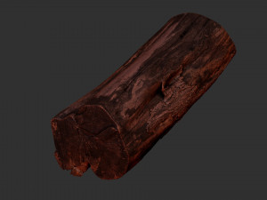 A withered piece of wood 3d scan in highpoly Modelo 3D
