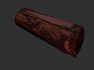 A withered piece of wood 3d scan in highpoly Modelo 3D