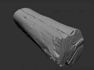 A withered piece of wood 3d scan in highpoly Modelo 3D