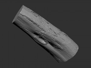 A withered piece of wood 3d scan in highpoly Modelo 3D