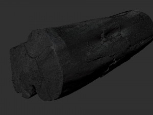 A withered piece of wood 3d scan in highpoly Modelo 3D