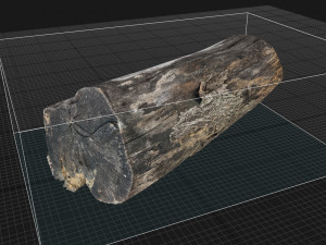 A withered piece of wood 3d scan in highpoly Modelo 3D