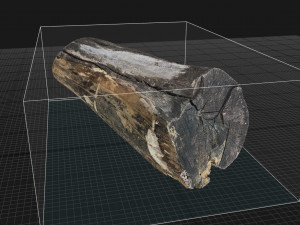 A withered piece of wood 3d scan in highpoly Modelo 3D