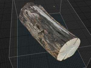 A withered piece of wood 3d scan in highpoly Modelo 3D