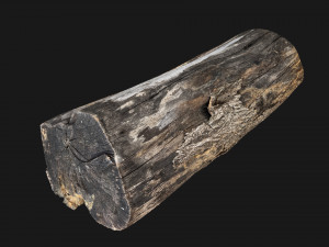 A withered piece of wood 3d scan in highpoly Modelo 3D