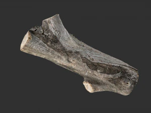 Um peda&ccedil;o de madeira serrada, digitaliza&ccedil;&atilde;o 3D em highpoly Modelo 3D