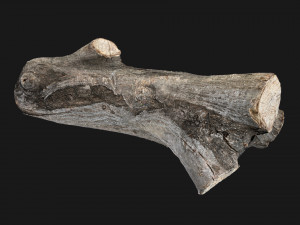 A piece of sawn wood 3d scan in highpoly Modello 3D
