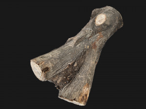 A piece of sawn wood 3d scan in highpoly Modello 3D