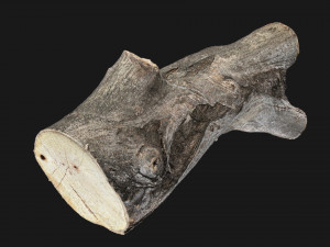A piece of sawn wood 3d scan in highpoly Modello 3D