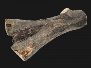 A piece of sawn wood 3d scan in highpoly Modello 3D
