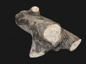 A piece of sawn wood 3d scan in highpoly Modello 3D