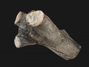 A piece of sawn wood 3d scan in highpoly Modello 3D