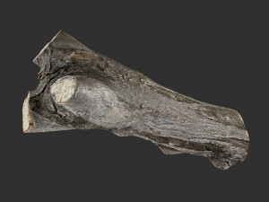 A piece of sawn wood 3d scan in highpoly Modello 3D