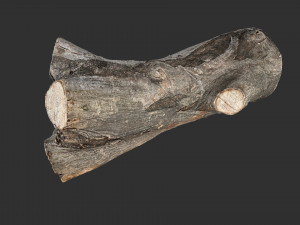 A piece of sawn wood 3d scan in highpoly Modello 3D