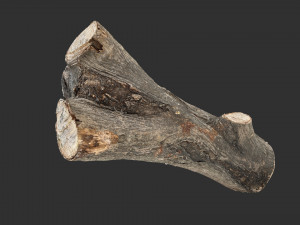 A piece of sawn wood 3d scan in highpoly Modello 3D