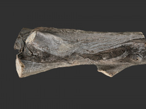 A piece of sawn wood 3d scan in highpoly Modello 3D