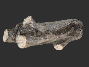 A piece of sawn wood 3d scan in highpoly Modello 3D
