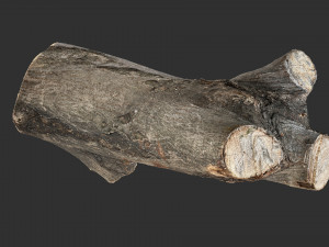 A piece of sawn wood 3d scan in highpoly Modello 3D