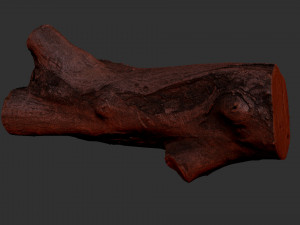 A piece of sawn wood 3d scan in highpoly Modello 3D