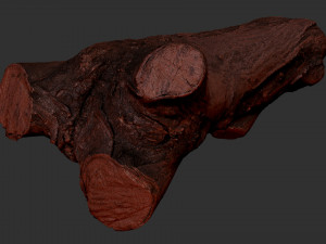 A piece of sawn wood 3d scan in highpoly Modello 3D