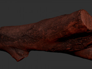 A piece of sawn wood 3d scan in highpoly Modello 3D