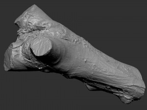 A piece of sawn wood 3d scan in highpoly Modello 3D