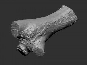 A piece of sawn wood 3d scan in highpoly Modello 3D