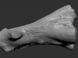 A piece of sawn wood 3d scan in highpoly Modello 3D