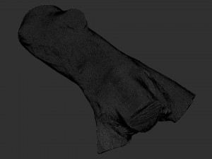 A piece of sawn wood 3d scan in highpoly Modello 3D