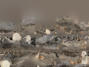 A piece of sawn wood 3d scan in highpoly Modello 3D