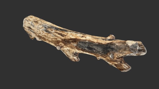 Tree trunk 3d scan highpoly Model 3D .c4d .max .obj .3ds .fbx .stl .blend 