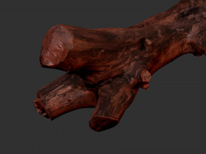 Tree trunk 3d scan highpoly Model 3D