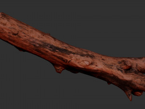 Tree trunk 3d scan highpoly Model 3D