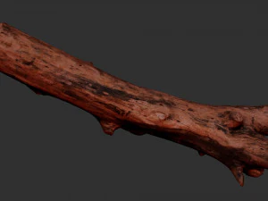 Skan 3D pnia drzewa highpoly Model 3D