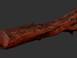 Tree trunk 3d scan highpoly Model 3D