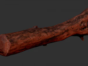 Skan 3D pnia drzewa highpoly Model 3D