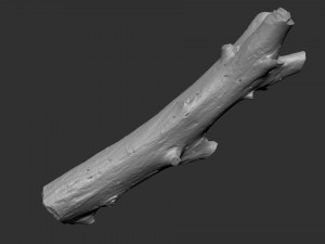 Tree trunk 3d scan highpoly Model 3D