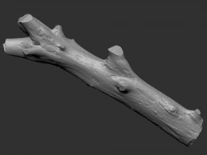 Skan 3D pnia drzewa highpoly Model 3D