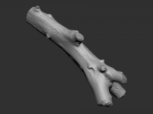Tree trunk 3d scan highpoly Model 3D