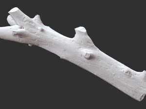 Skan 3D pnia drzewa highpoly Model 3D